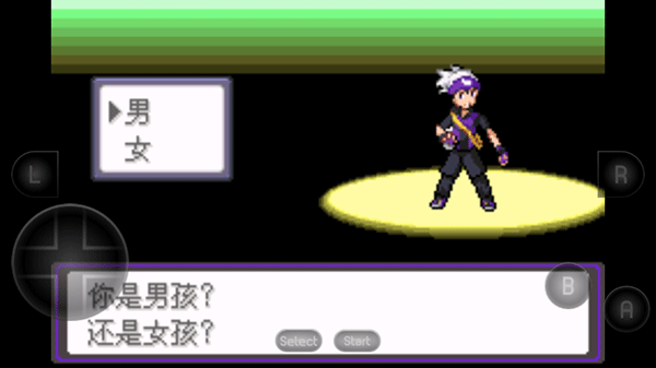 口袋妖怪漆黑的魅影（安装）