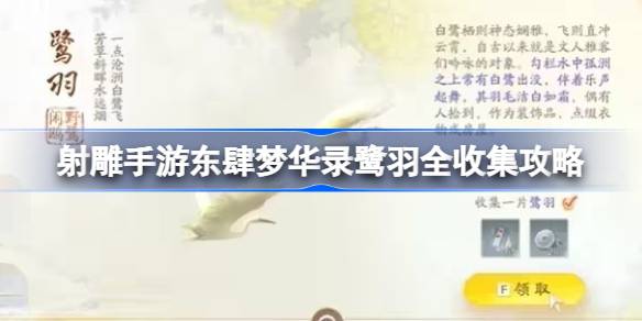 射雕