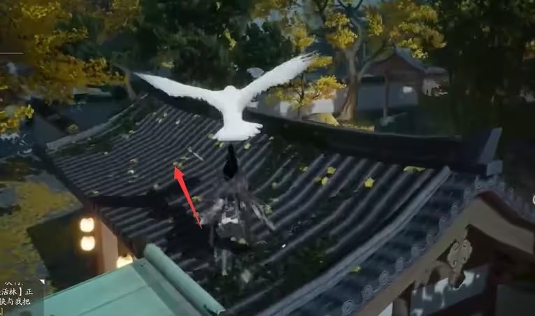 射雕