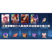 王者荣耀妲己九尾无双皮肤返场详解与保底策略