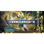 王者荣耀S35赛季皮肤大全 - 限时获取与详情解析