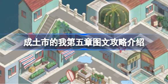 成土市的我