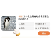企鹅为何“窃石”行为揭秘