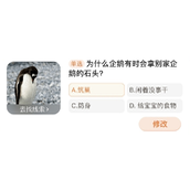 淘宝每日一猜答案 - 企鹅的石头争夺战揭秘