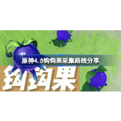 原神4.5钩钩果采集指南与路线详解