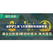 金铲铲之战飞天妮蔻阵容深度解析与搭配指南