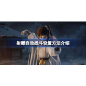 射雕手游深度解析与自动战斗设置探讨