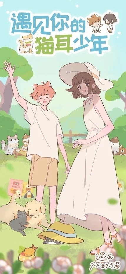 遇见你的猫耳少年下载