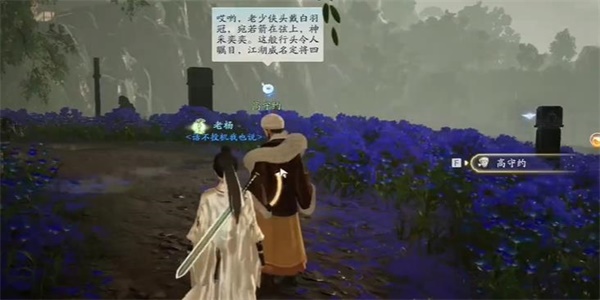 射雕