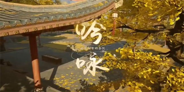 射雕