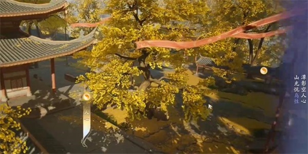 射雕