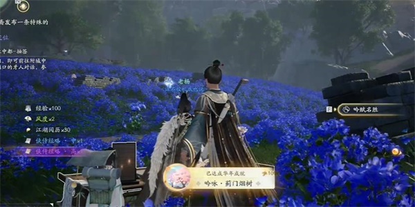 射雕