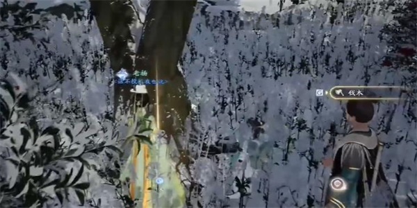 射雕