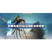 射雕手游杨康主C队伍搭配策略详解