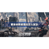 雷索纳斯妮蔻拉配队深度解析与实战指南