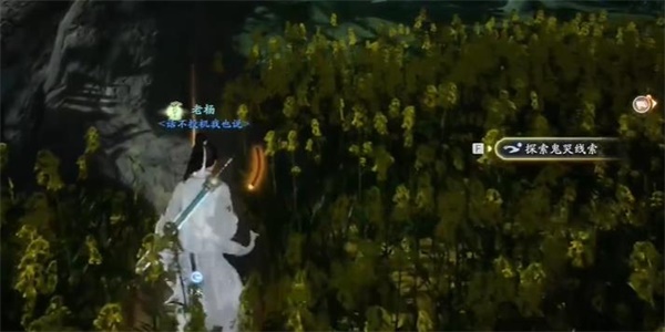 射雕