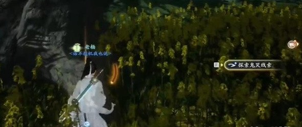 射雕