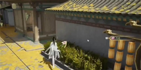 射雕