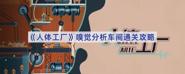 人体工厂