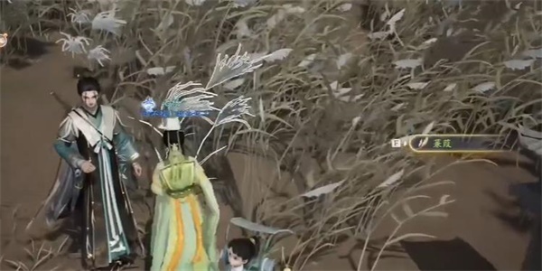 射雕