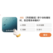淘宝每日一猜答案4月11日答案
