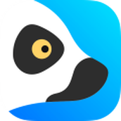 狐猴浏览器最新正式版