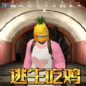 菠萝头吃鸡下载安装