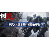 钢岚1.4版本新SS武器有哪些