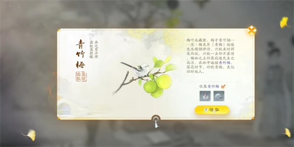 射雕