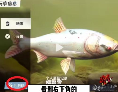 欢乐钓鱼大师
