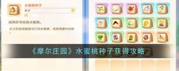 摩尔庄园