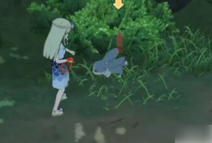 小森生活