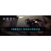 《暗魔领主》揭秘龟壳宝石获取全攻略