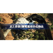 龙之信条2狮鹫巢有什么物品-龙之信条2狮鹫巢物品介绍