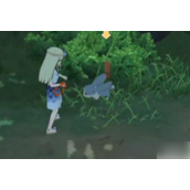 小森生活兔王探索指南