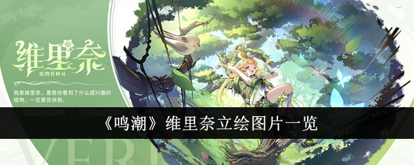 鸣潮