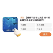 淘宝每日一猜答案4月13日答案