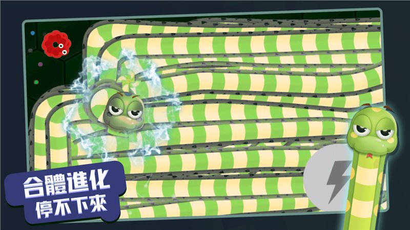 贪吃蛇进化论（安装包）