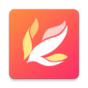 摘叶网APP