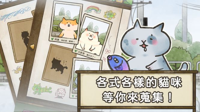 猫箱物语手机版