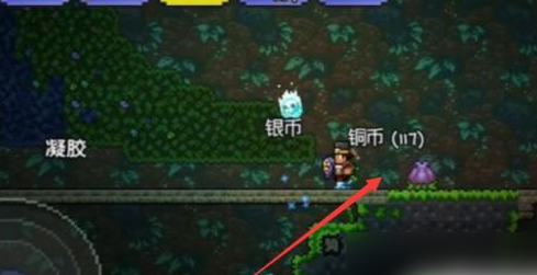 泰拉瑞亚