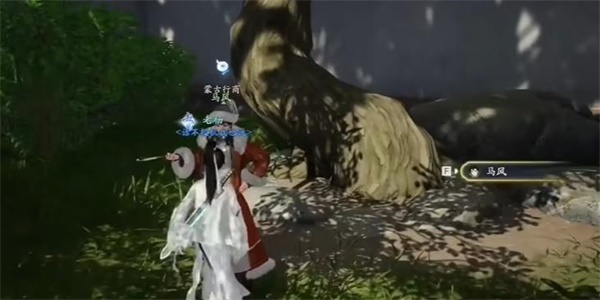 射雕