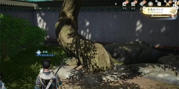 射雕