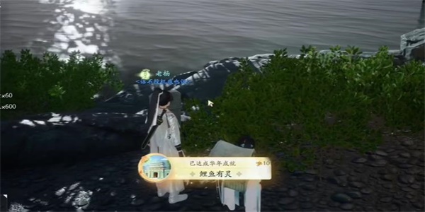 射雕