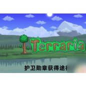 泰拉瑞亚揭秘护卫勋章的荣耀之路 - 获取与挑战详解