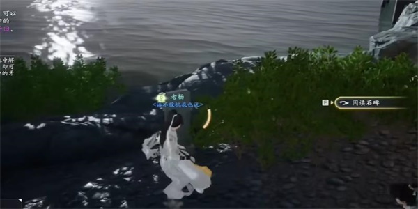 射雕