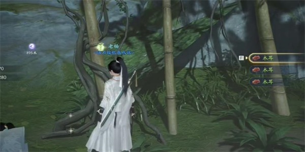 射雕