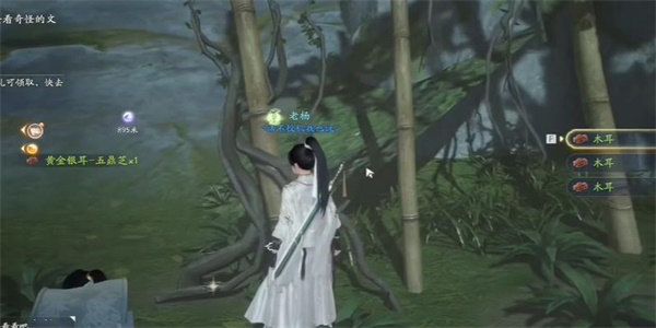 射雕
