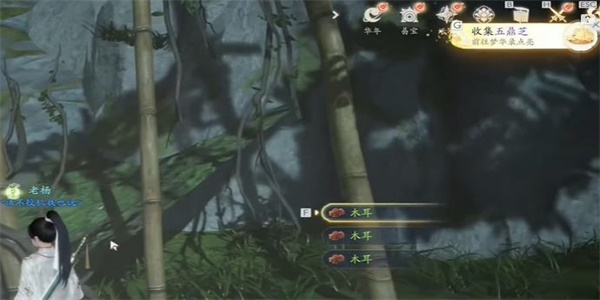 射雕