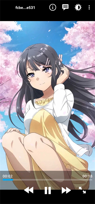 Nova播放器魔改版